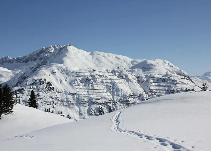 Hotel Garni Panorama 4*
